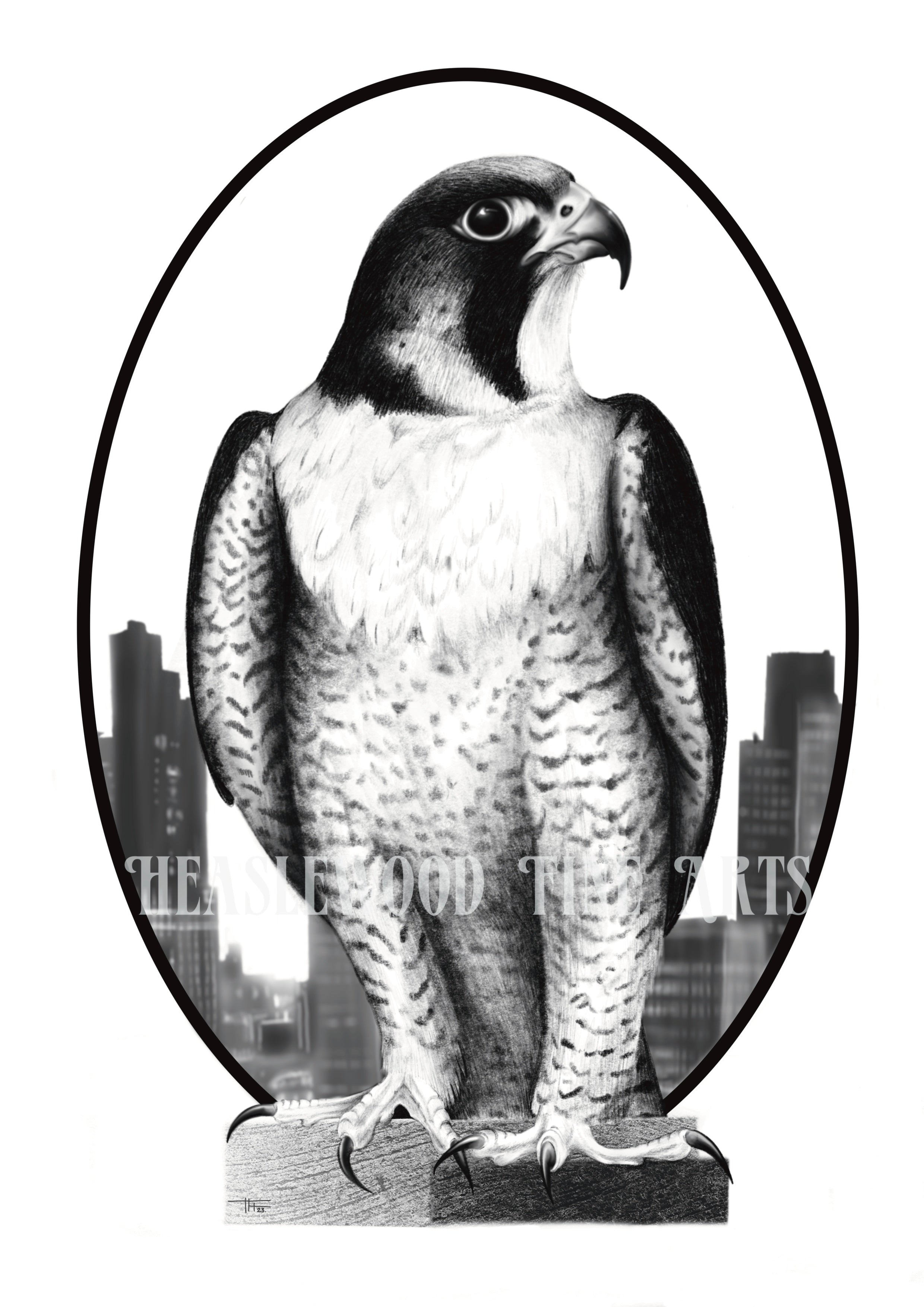 City Watch Heaslewood Fine Arts city-watch-heaslewood-fine-arts